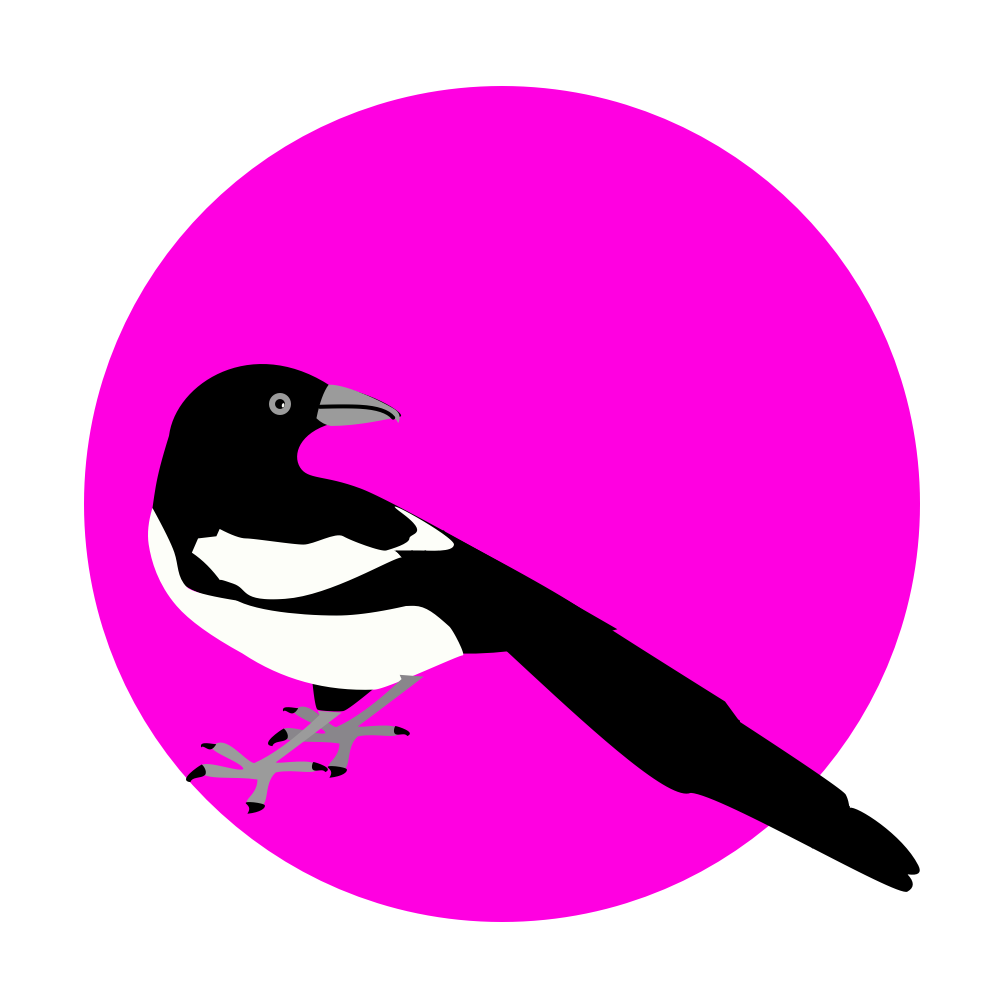 Dana Forlano – magenta magpie